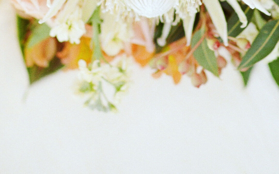 Ten Tips to Keep the Flowers and the Plants Fresh!