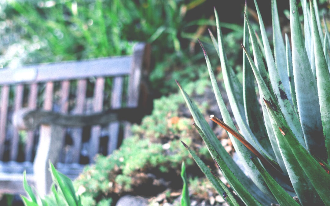 10 Tips to Become an Effective Gardner