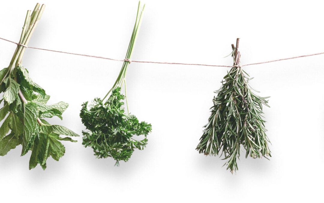 The Local Specificities in the Treatment Through Naturopathy Methods