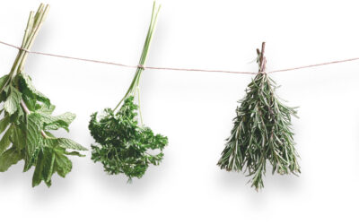 The Local Specificities in the Treatment Through Naturopathy Methods
