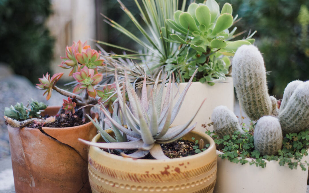 The Indicators of an Excellent Nursery